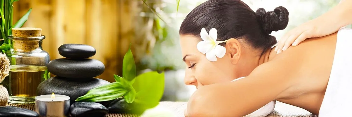 Ayur Day Spa image