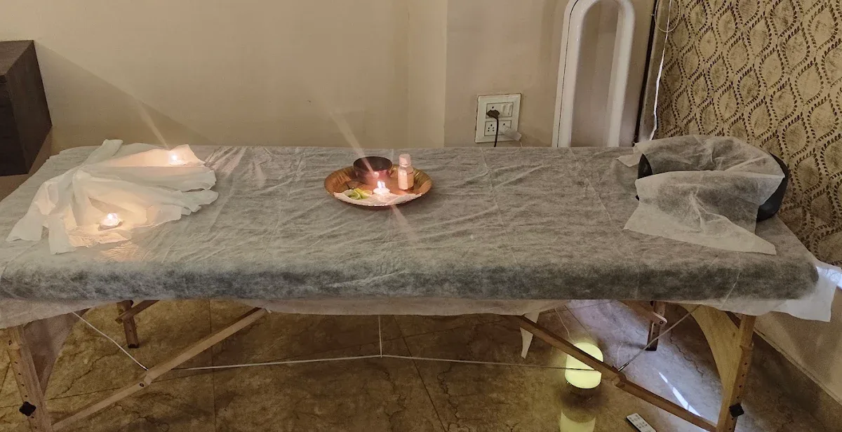 Divya professional spa cover
