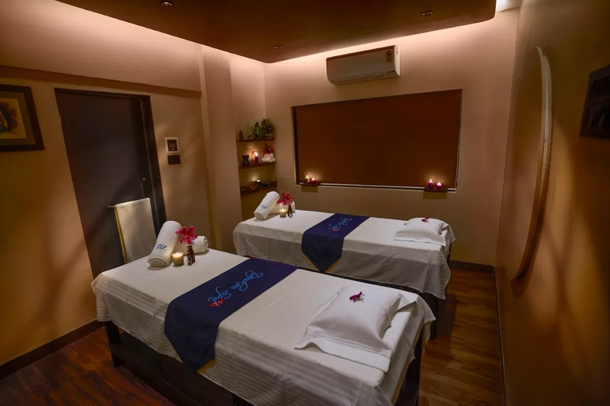 Dzukou Spa  Khar image