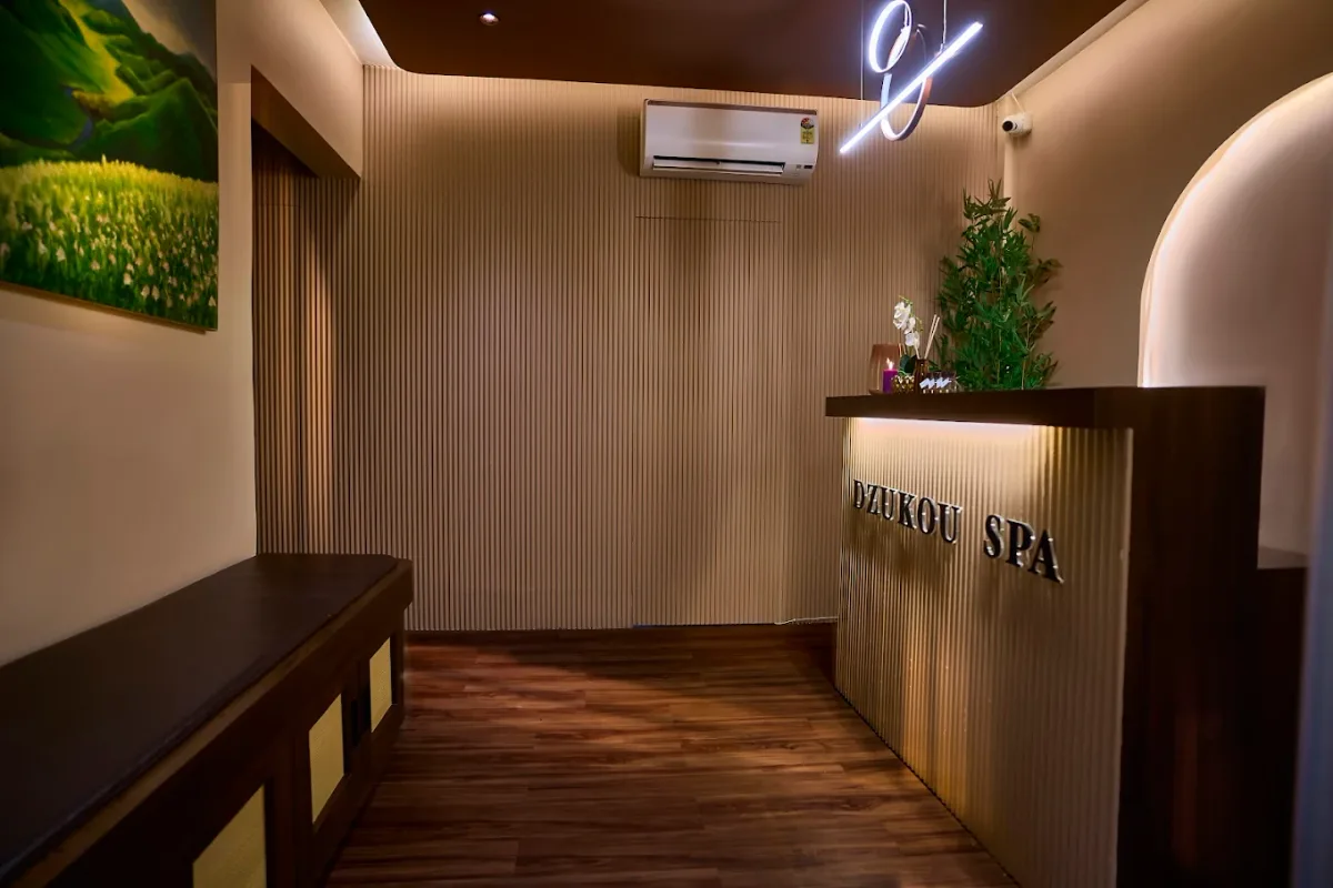 Dzukou Spa  Khar image