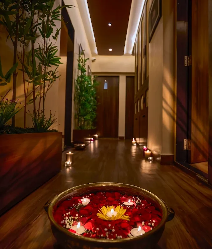 Dzukou Spa  Khar image
