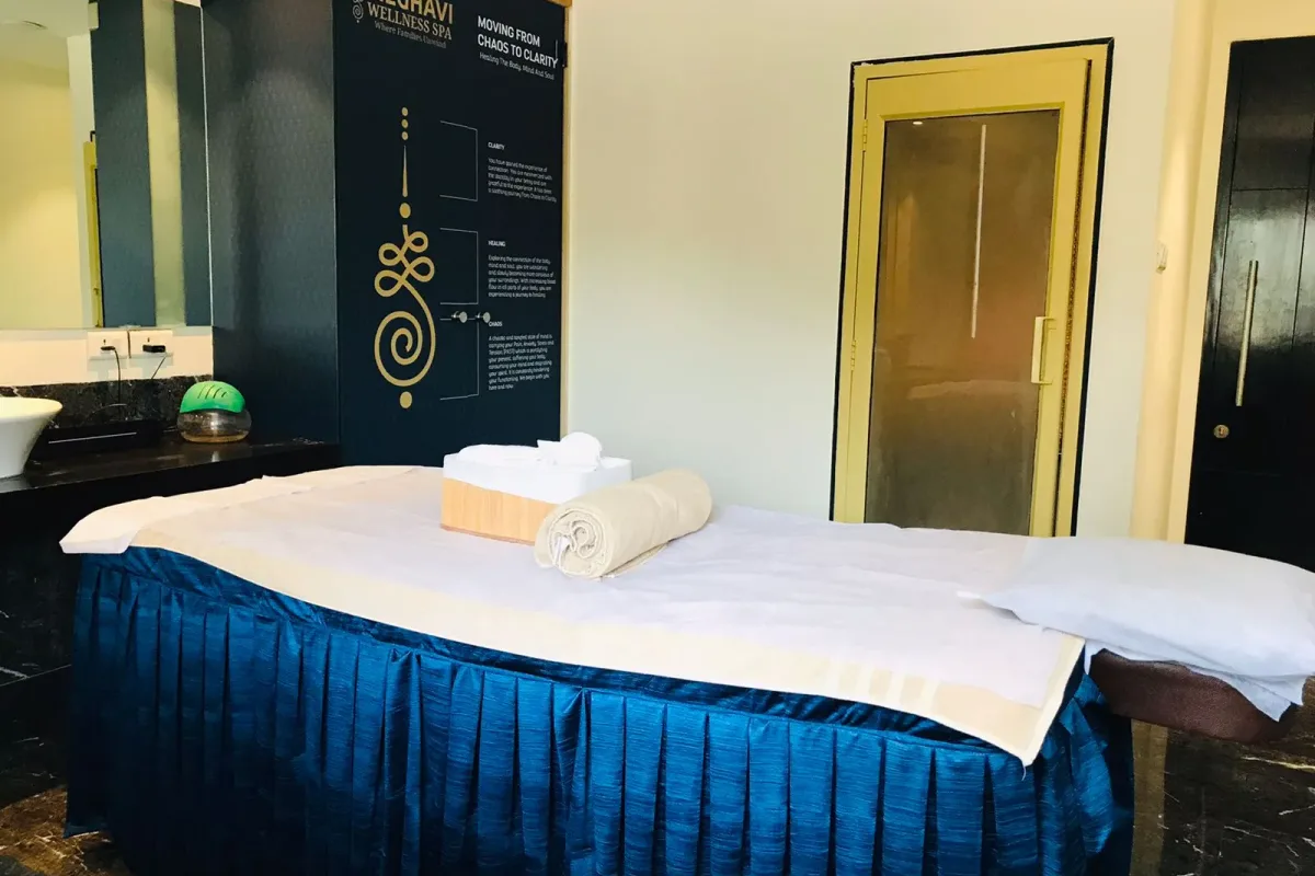 Meghavi Wellness Spa image