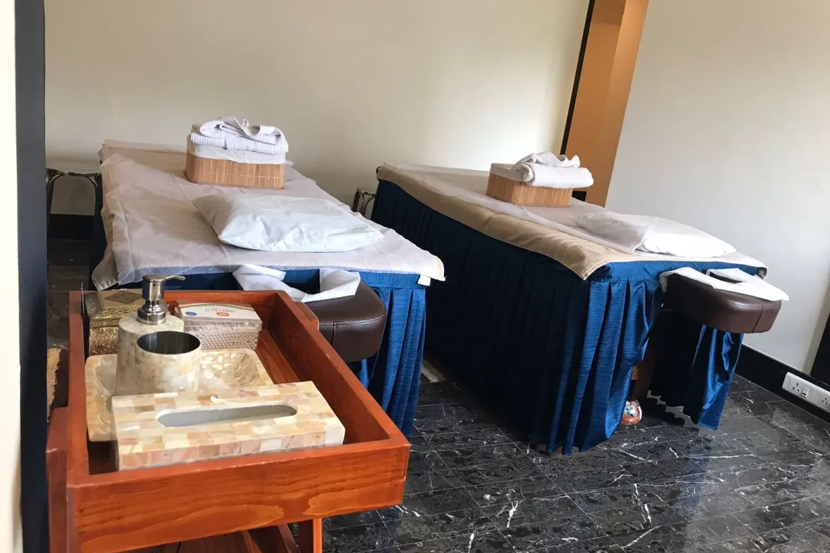 Meghavi Wellness Spa image