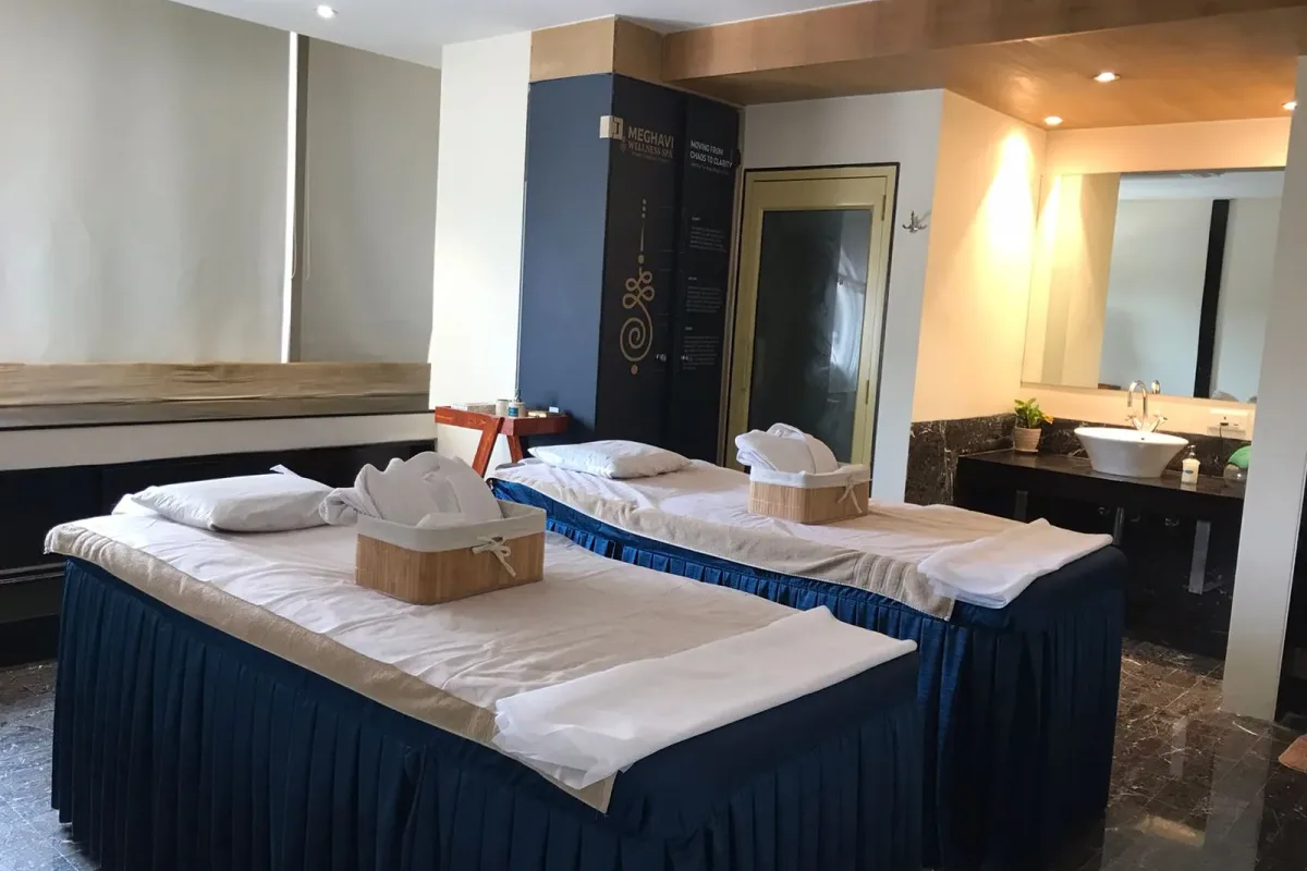 Meghavi Wellness Spa image